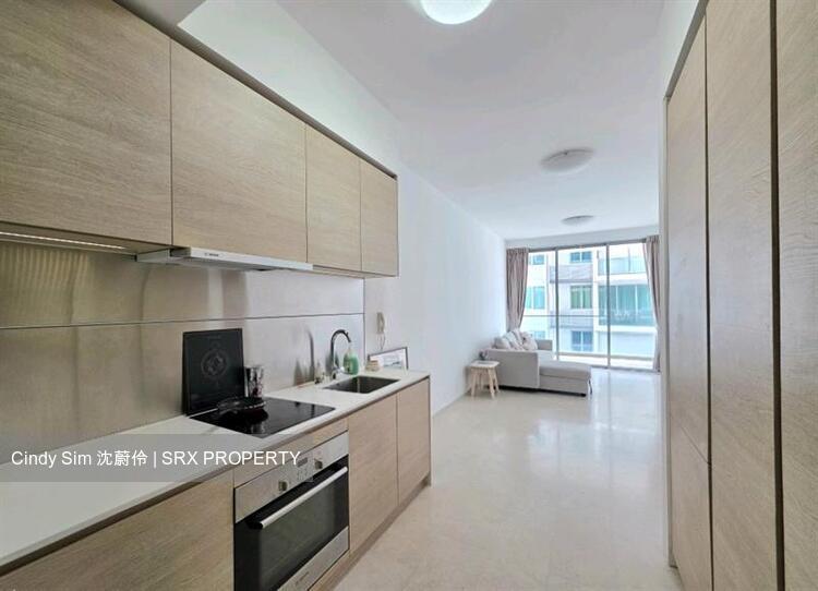 Sennett Residence (D13), Condominium #559343661